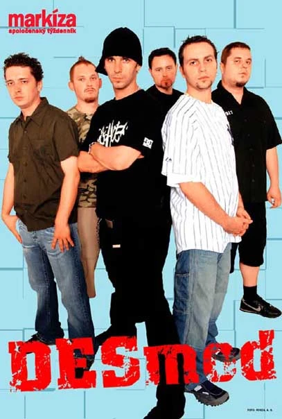 Desmod - plagat.jpg