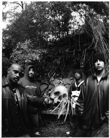 Cypress Hill - cypress08.jpg