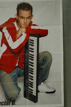 Special D. - posterholland.jpg