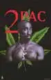 2pac - 760_a.jpg