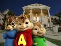 Chipmunks