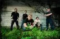 12 Stones - l_eac6f696528c90452f76703d5c6c58ba-767000.jpg