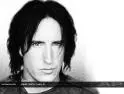 Nine Inch Nails - 8236779.jpg