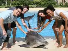 David Archuleta - david_archuleta400b.jpg