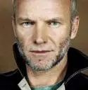 Sting - sting.jpg