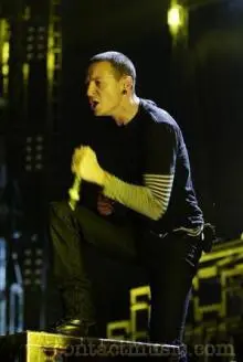 Dead By Sunrise - linkin_park_concert15_wenn5038709.jpg