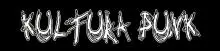 Ú.s.p. - kultura_punk_vyrez.jpg