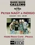 Peter Nagy a kapela Indigo zpět na koncertních pódiích!