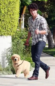 Jonas Brothers - nickwithhisdog.jpg
