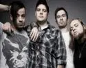 Cancer Bats