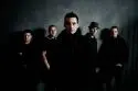 Mighty Sounds - street_dogs_mightysounds2012.jpg