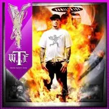 Vanilla Ice - Vanilla-Ice-WTF-2011.jpg