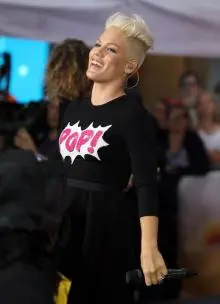 Pink - 418494_430007753701397_2042388115_n.jpg