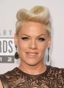 Pink - Pink+Updos+Retro+Updo+8AFZUp_DnLnl.jpg