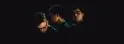 SON LUX - 7e333bfb-0e2c-45ea-99ec-bfd70e64b9d6.jpg