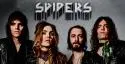 Spiders - cropped-spiders1.jpg