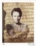Na jeseň vyjde Lyrics by Sting