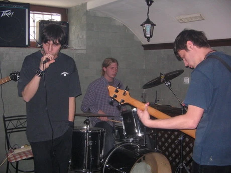 Can Illusion Bees - 07a2aac269.jpg