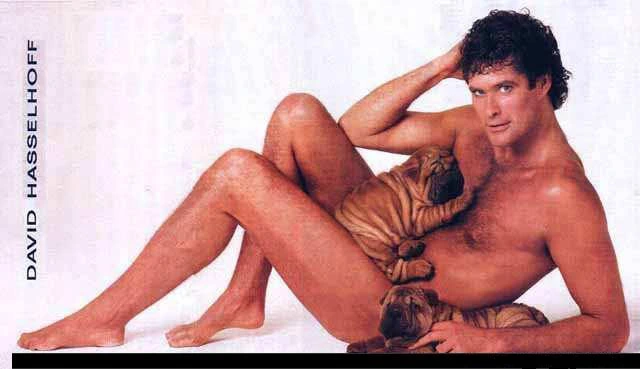 David Hasselhoff - david-hasselhoff-img_2.jpg