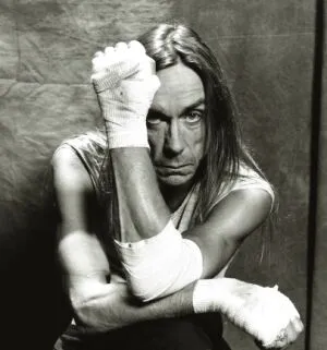 Skupine The Stooges ukradli počas turné hudobné nástroje