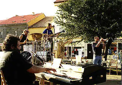 Aspm - aspm2.jpg