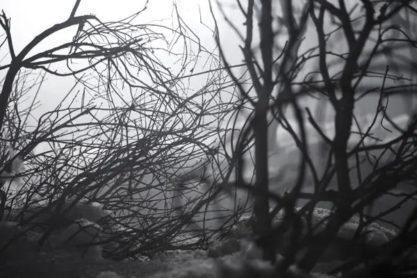 A.f.i. - 1185154573_l.jpg