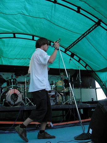 Can Illusion Bees - 27f3ec4.jpg