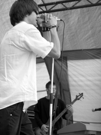 Can Illusion Bees - 1197dc6.jpg