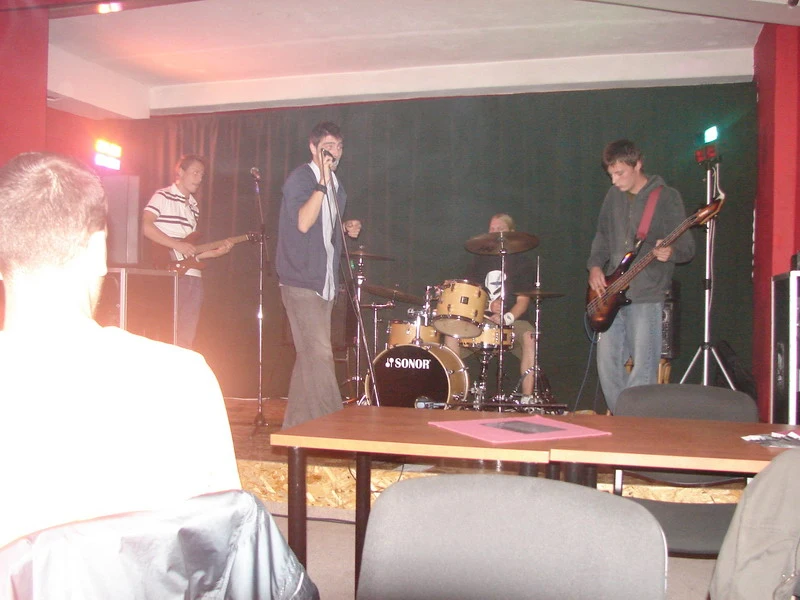 Can Illusion Bees - f_15620107_4f9eabab481f4f8963fc6d9dec3725fb.jpg