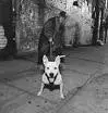 Gang Starr - ghn.jpg