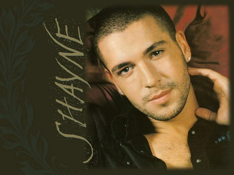 Shayne Ward - Shayne_Ward_Wallpaper_1_1024.jpg
