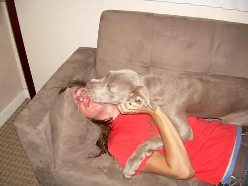 Underoath - f_24785818_2ec1f12cf7929586381f02fa0cd30fcc.jpg