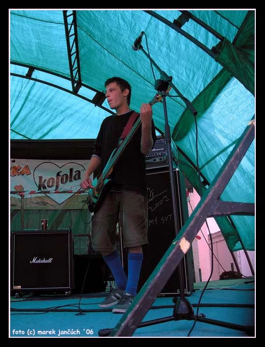 Can Illusion Bees - 06.jpg