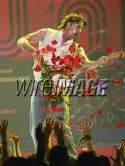 Springfield Rick - 14669917830200775452AM.jpg