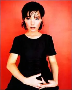 Björk - bjork1.jpg