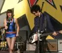 Yeah Yeah Yeahs: Pieseň o komároch