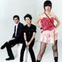 Nový album Yeah Yeah Yeahs je na internete